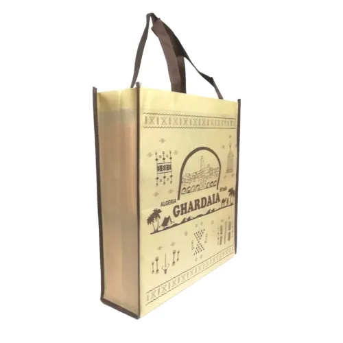 Sac Shopping Réutilisable Pliable Résistant aux Déchirures Non-tissé Avec Poignée 