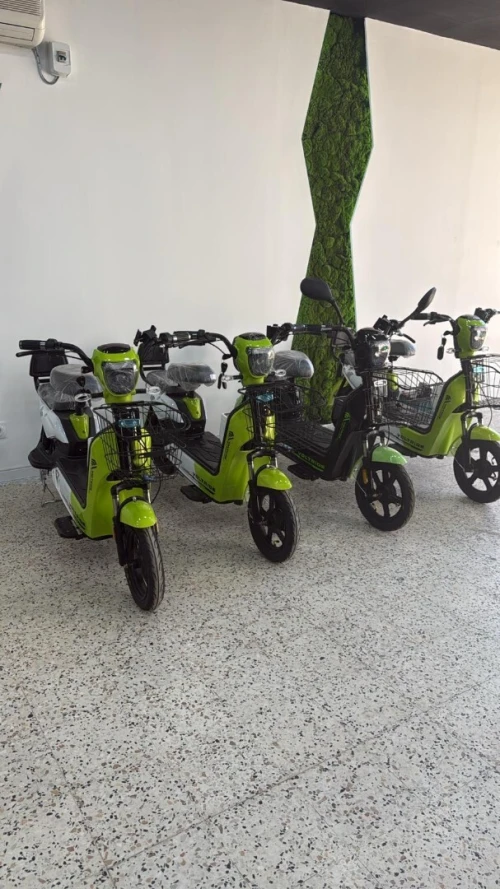 Votride Voltride 