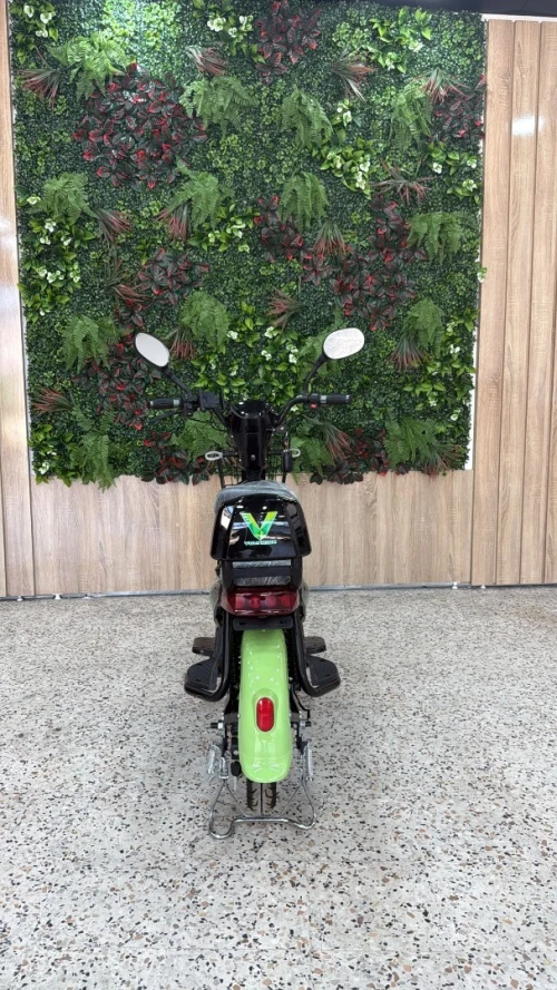 Votride Voltride 