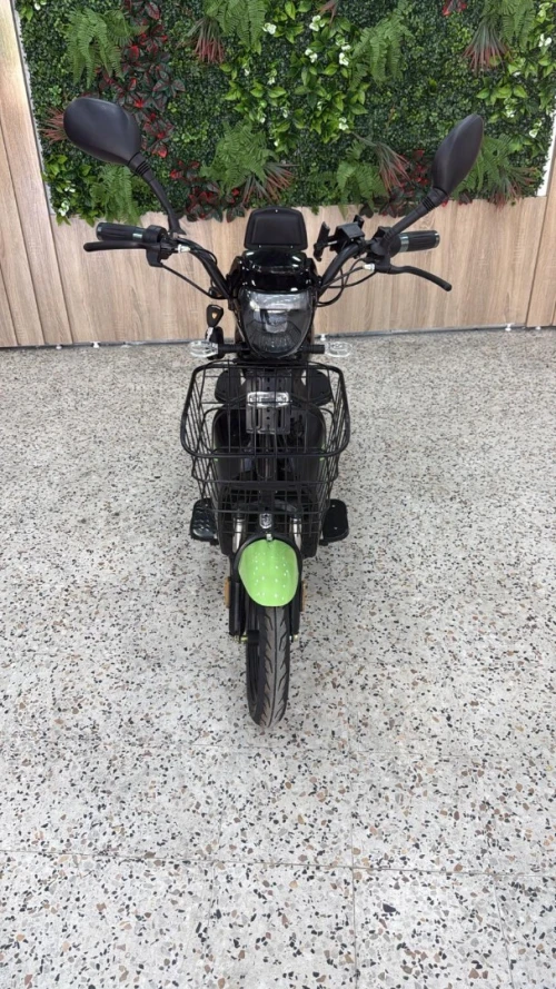 Votride Voltride 