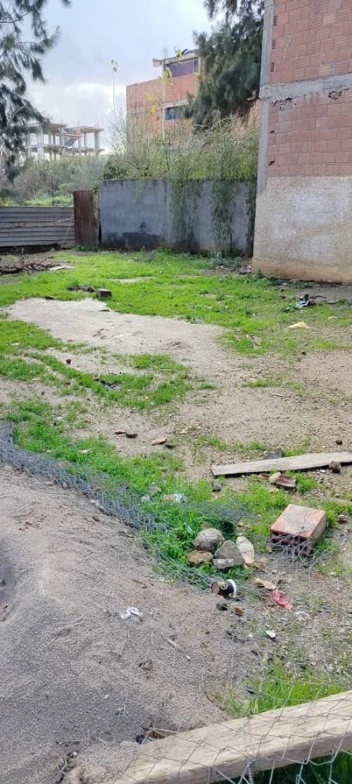 Vente Terrain Alger Reghaia