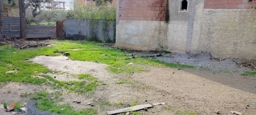 Vente Terrain Alger Reghaia