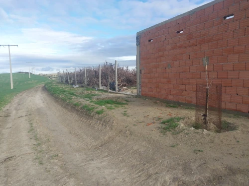 Vente Terrain Agricole Sidi Bel Abbès Sehala thaoura