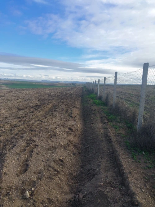 Vente Terrain Agricole Sidi Bel Abbès Sehala thaoura