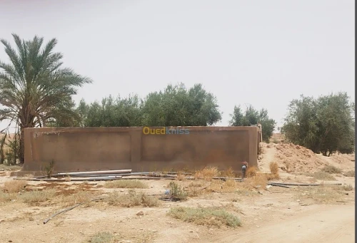Vente Terrain Agricole Biskra Ourlala