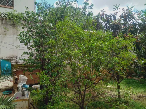Vente Villa Alger Hydra