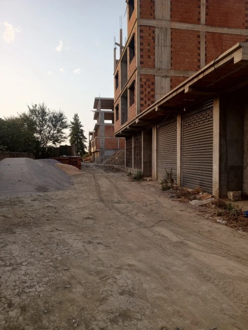 Vente Villa Alger Les eucalyptus