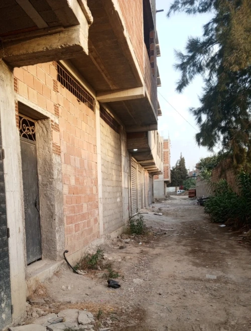 Vente Villa Alger Les eucalyptus