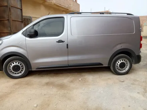 Fiat Scoudo 2024 Toute options