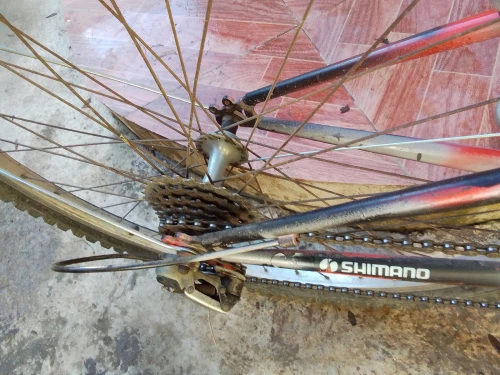 Vélo Shimano VTT Original
