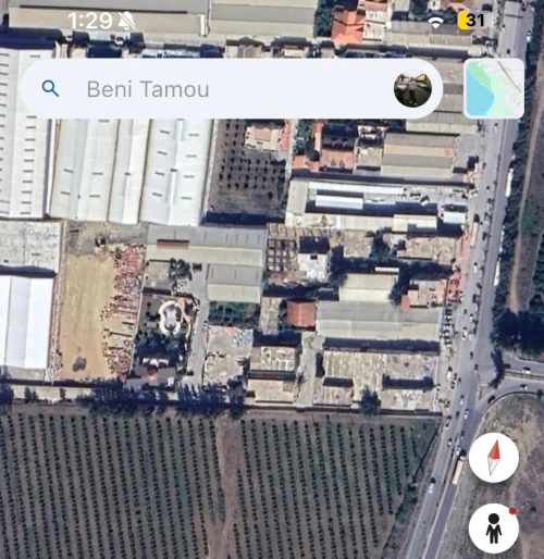 Location Terrain Blida Beni tamou
