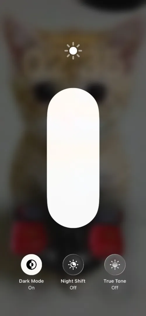 Iphon 12mini 