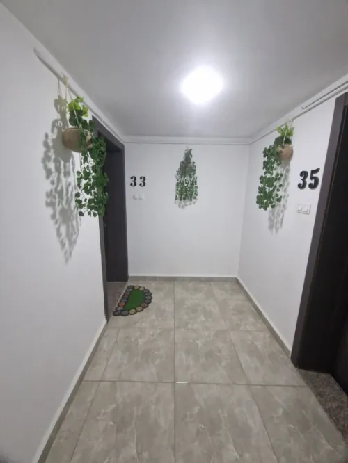 Location Appartement F3 Alger Cheraga