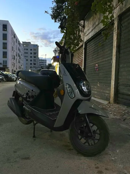 VMS Estate x 2025