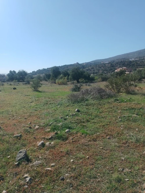 Vente Terrain Béjaïa Akbou