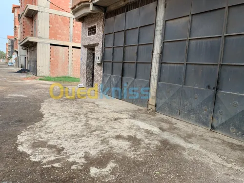 Location Hangar Blida Boufarik