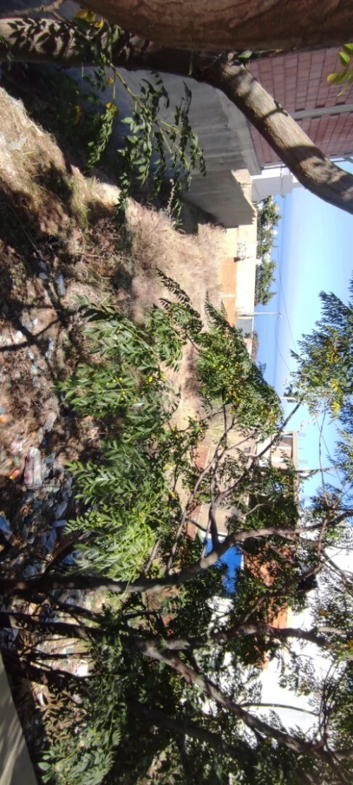 Vente Terrain Chlef Beni haoua
