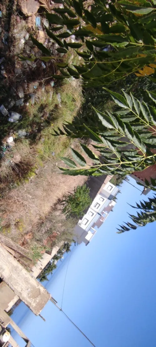 Vente Terrain Chlef Beni haoua