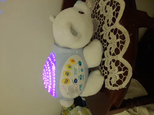 Ourson dodo