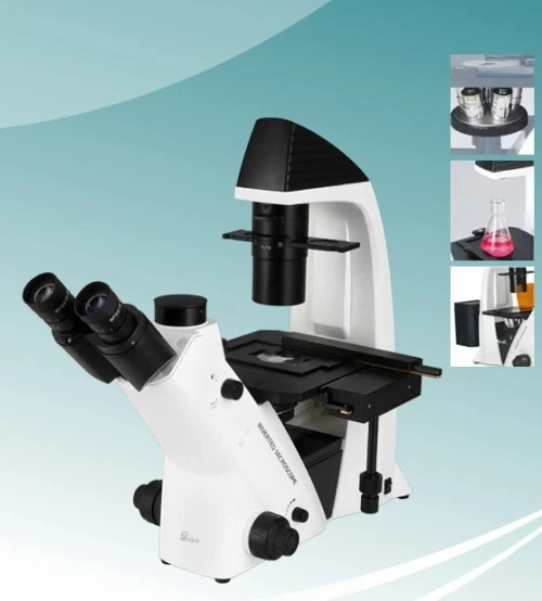 microscope inversé