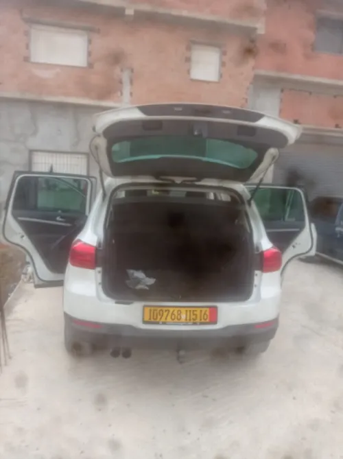 Volkswagen Tiguan 2015 Cup
