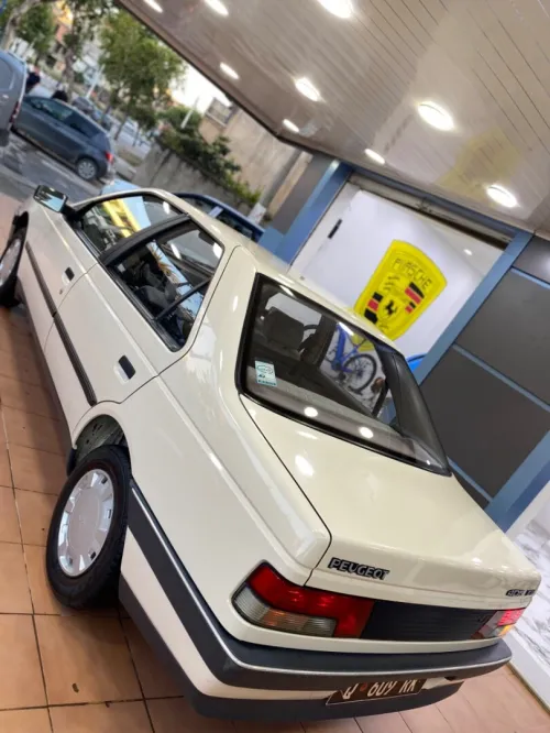 Peugeot 405 1989 Gr