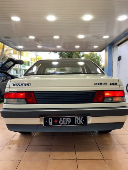 Peugeot 405 1989 Gr