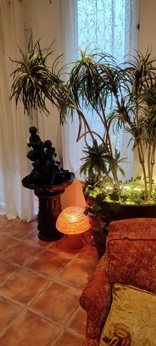 Location vacances Appartement F4 Annaba Annaba
