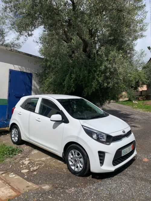 Kia Picanto 2019 LX Start