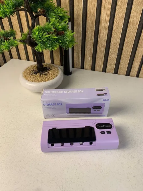 Désinfectant et support de brosse à dents intelligent rechargeable