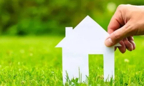 Vente Terrain Blida Blida