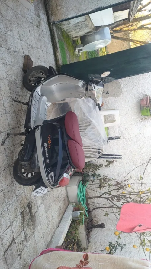 Okinoi Vectoria 2019
