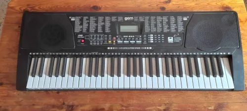 piano electrique GM-825