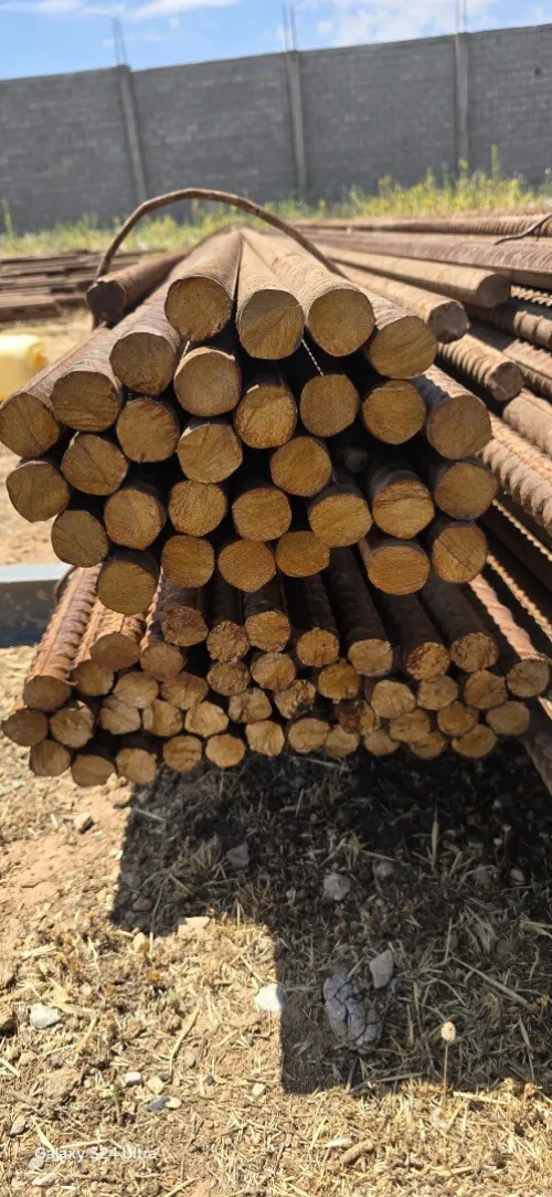 فيراي 32 6m 2026