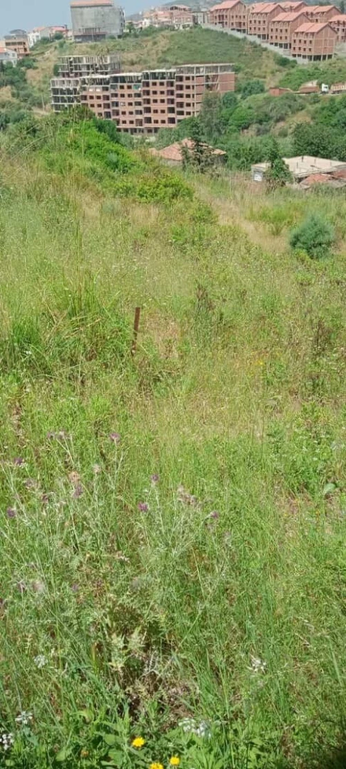 Vente Terrain Tizi Ouzou Azeffoun