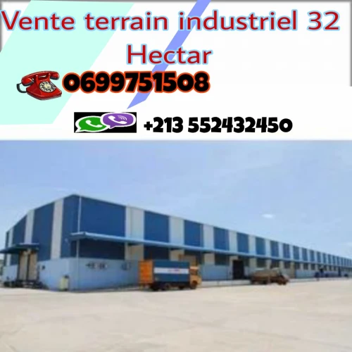 Vente Terrain Mascara Mohammadia