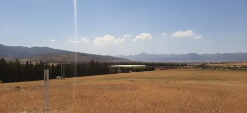 Vente Terrain Agricole Batna Tazoult