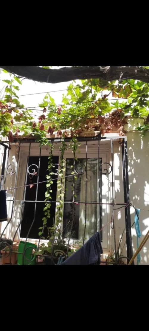 Vente Villa Oran Gdyel