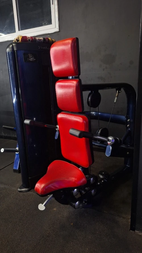 Dips machine realleader