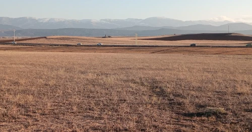 Vente Terrain Agricole Batna Timgad
