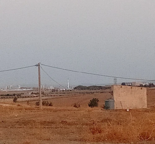 Vente Terrain Agricole Sidi Bel Abbès Ain thrid