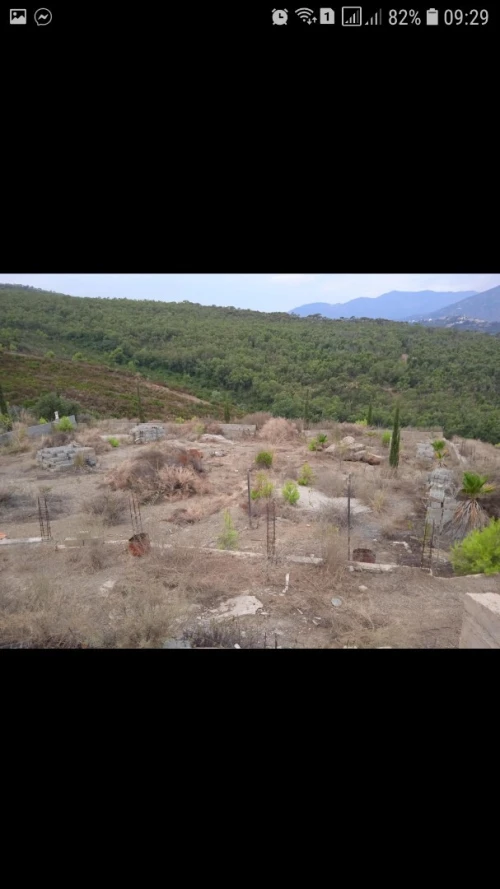 Vente Terrain Tizi Ouzou Azeffoun