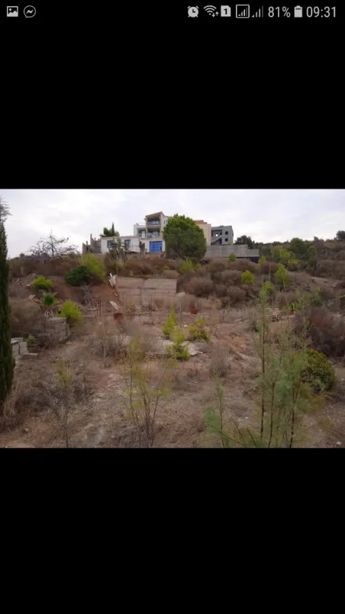 Vente Terrain Tizi Ouzou Azeffoun