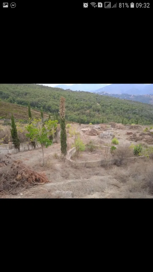 Vente Terrain Tizi Ouzou Azeffoun
