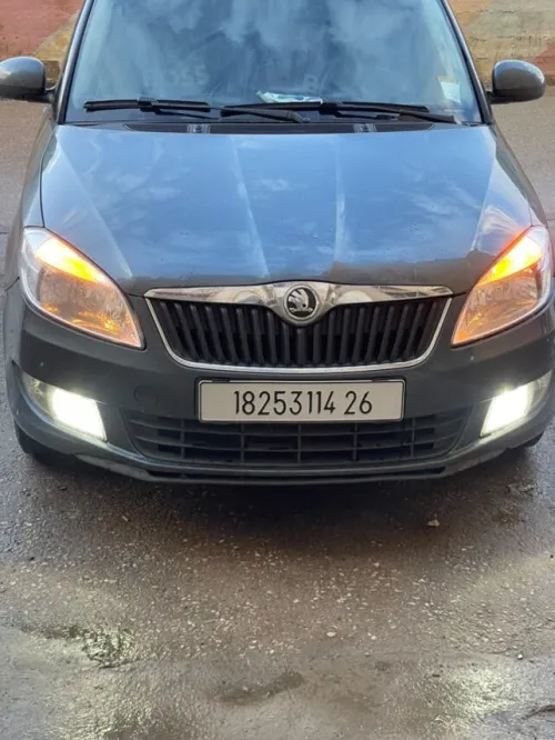 Skoda Fabia 2014 Fresh
