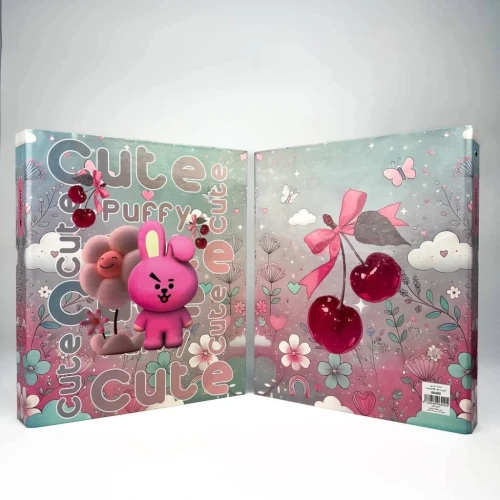 CLASSEUR ECOLIER DIFFERENTS MOTIFS 