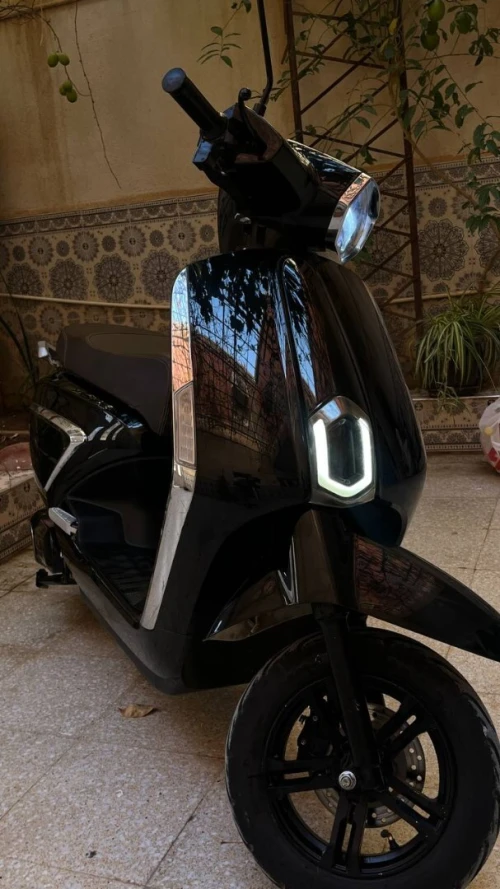 rissol orizon 2024