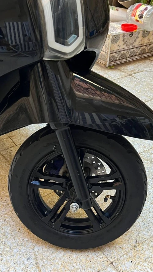 rissol orizon 2024