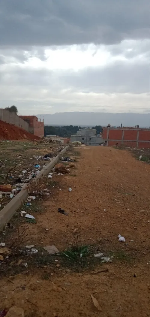 Vente Terrain Tipaza Kolea