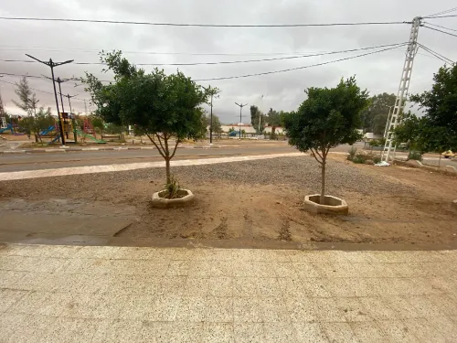 Location Local Béchar Bechar